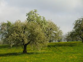 CIMG2124.JPG