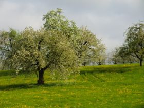 CIMG2127.JPG